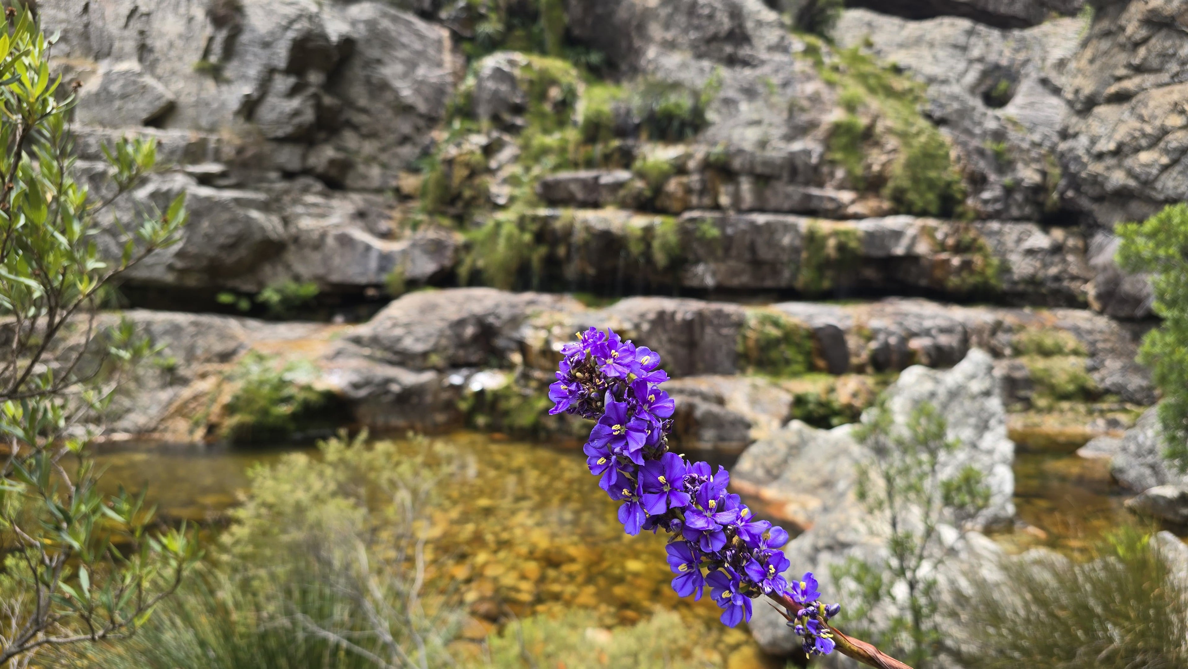 Bobbejaansrivier Bainskloof Day-Hike
