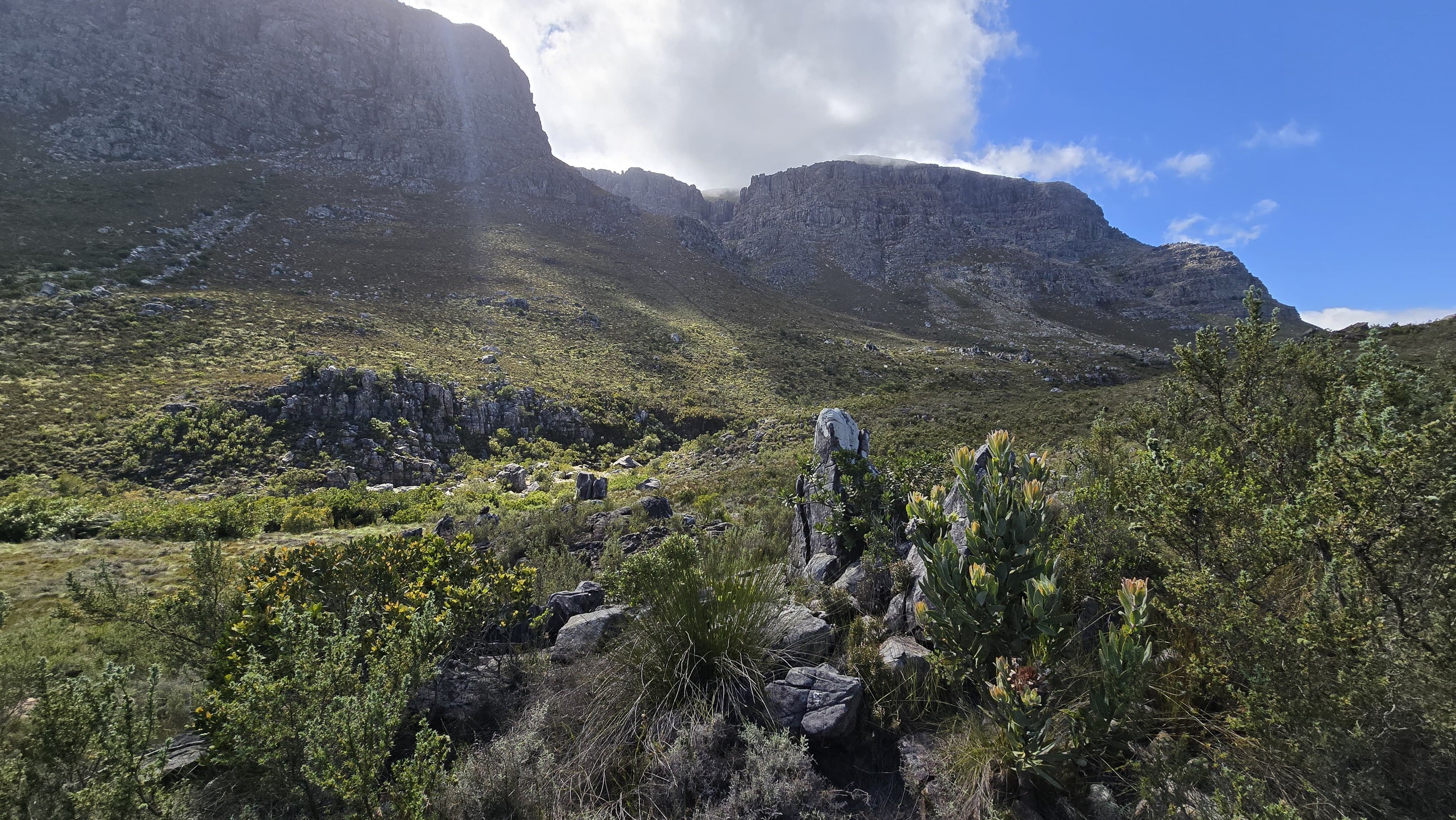 Bainskloof/Wellington - Murasie Guided Day-Hike/Walk