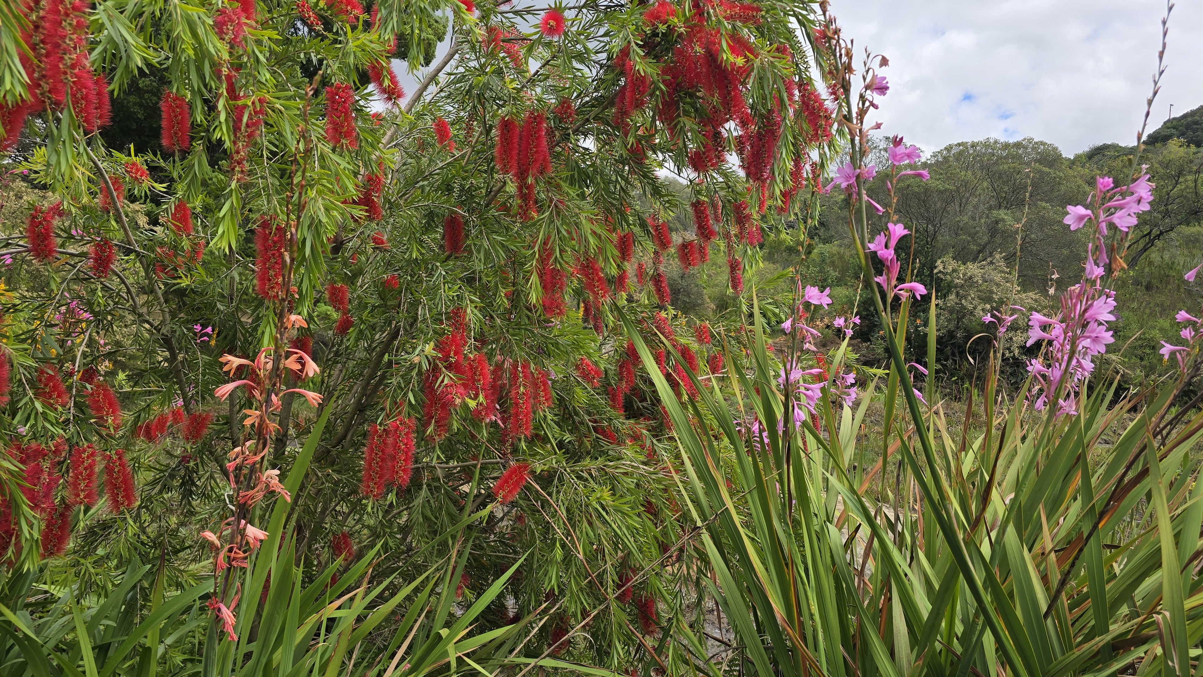 Paarl Rock Guided Tour
