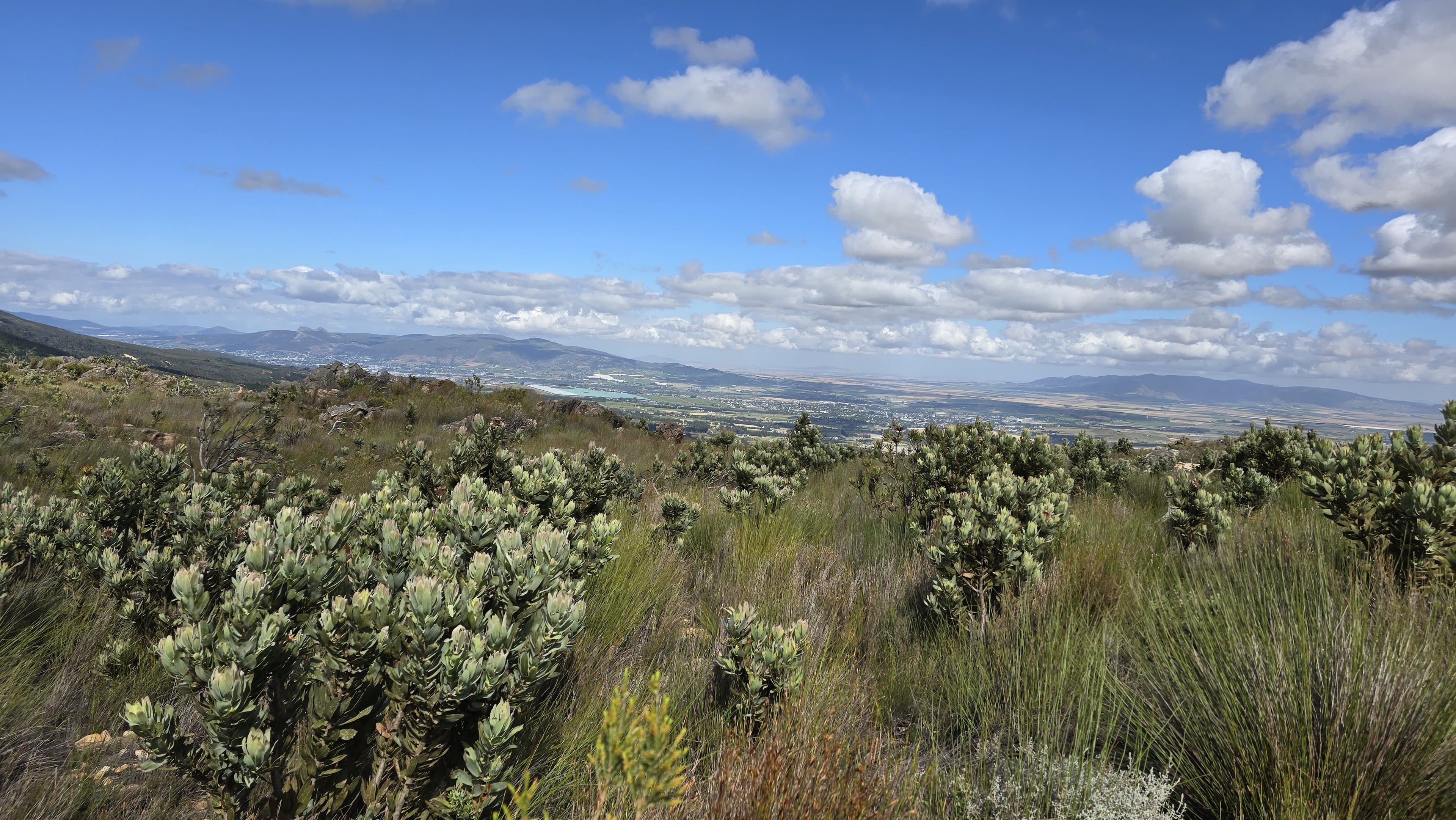 Bainskloof/Wellington - Murasie Guided Day-Hike/Walk