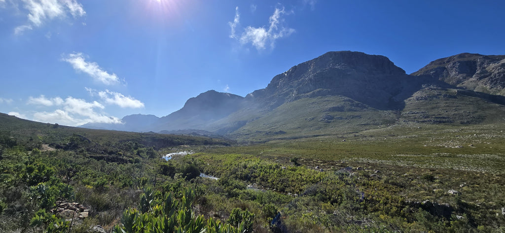 Wellington/Bainskloof - Happy Valley Guided Day-Hike
